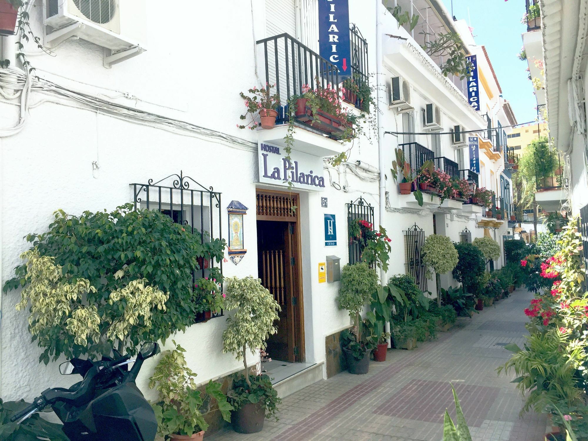Hostal La Pilarica Marbella Exterior photo