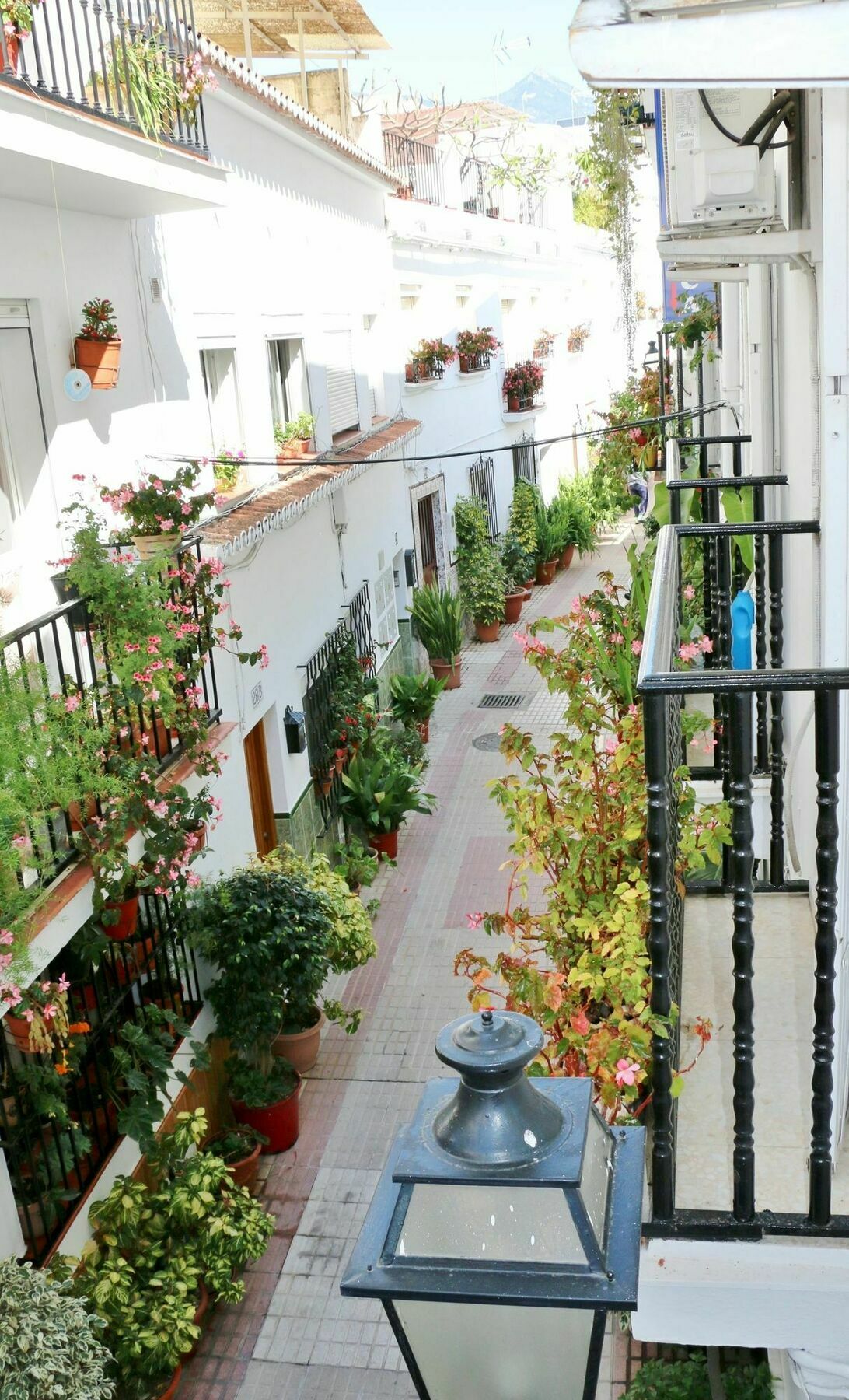 Hostal La Pilarica Marbella Exterior photo